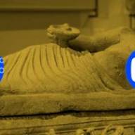 Gli Etruschi nei Musei Vaticani: uno sguardo attraverso lo spazio e il tempo - A cura di Maurizio Sannibale